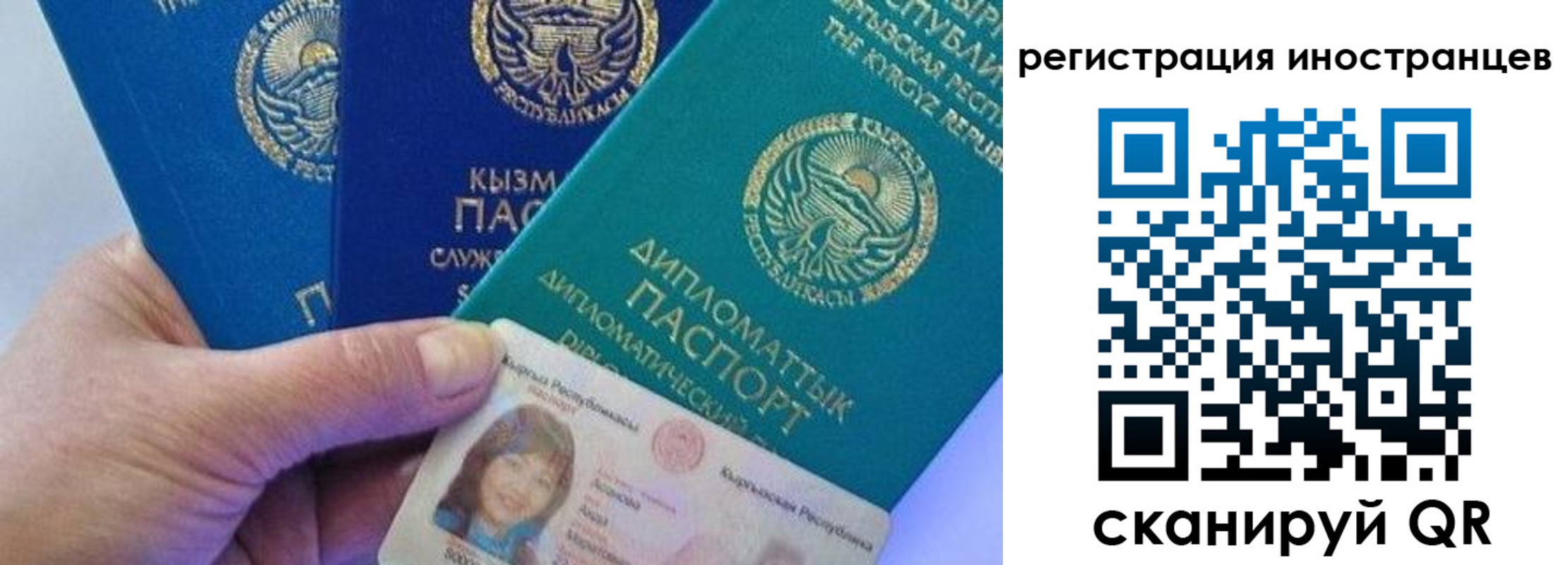 прописка в Тынде